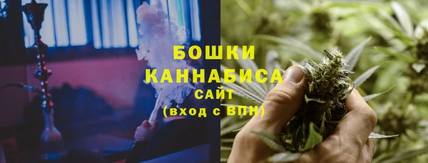 крисы Магас