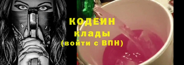 крисы Магас