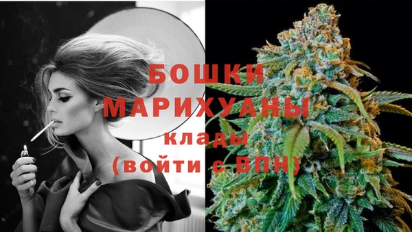 крисы Магас