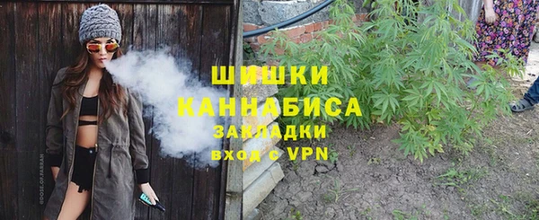 крисы Магас