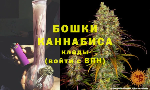 крисы Магас