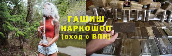 крисы Магас