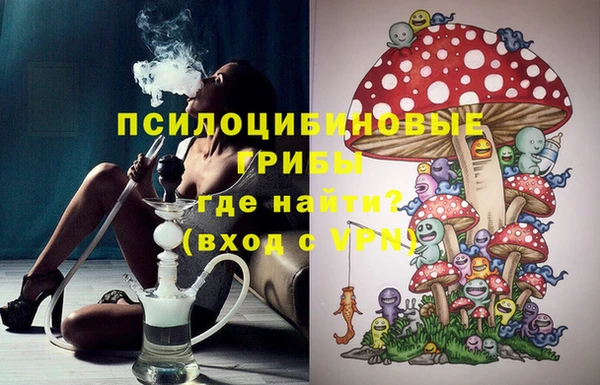 крисы Магас